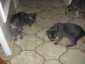 2011-09-07 14-22-26.jpg