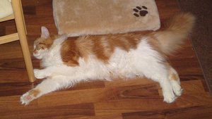 gerechter schlaf.JPG