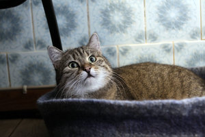 _MG_6853.JPG _MG_6853.JPG