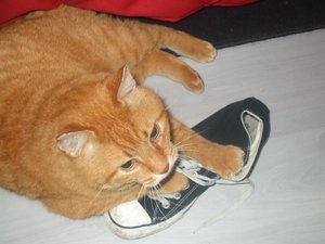 BILDER mai 08 061.jpg