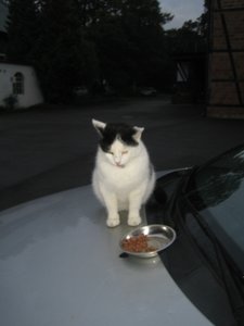 unterschiedliche Sachen 022.jpg