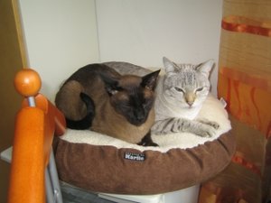 unterschiedliche Sachen 014.jpg