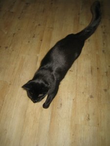 unterschiedliche Sachen 006.jpg