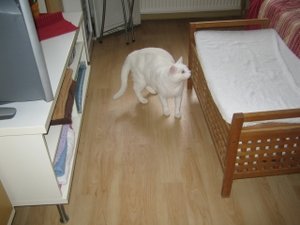 unterschiedliche Sachen 016.jpg