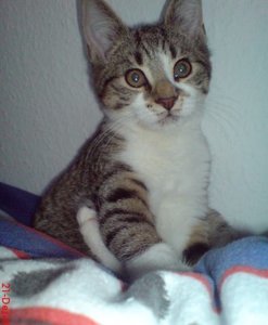 21.12.09.jpg 21.12.09.jpg