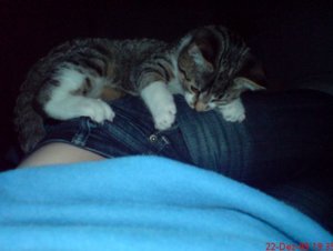 22.12.09.jpg 22.12.09.jpg