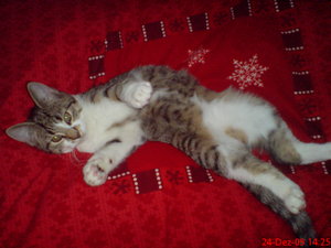 DSC02039.JPG DSC02039.JPG