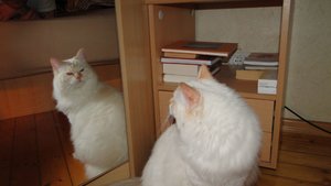 wer bist du denn.jpg