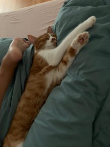 Schlafmütze Jack.jpg