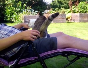 IMG_20210814_161957 (2).jpg