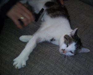 IMG_20210821_093156 (2).jpg