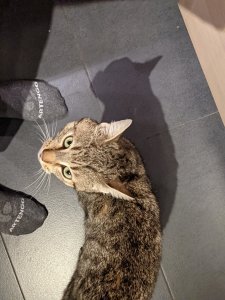 PXL_20210824_201724582.jpg PXL_20210824_201724582.jpg