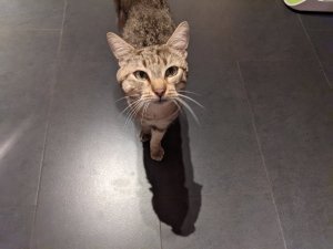 PXL_20210824_200932143.jpg PXL_20210824_200932143.jpg