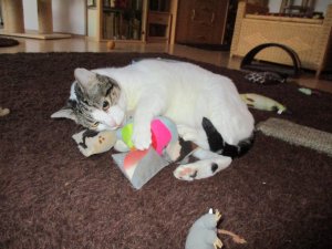 IMG_0161.JPG IMG_0161.JPG