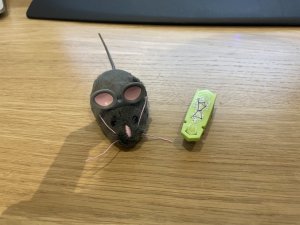 D8724D3C-A968-4987-BA0A-B521F339F1E5.jpeg D8724D3C-A968-4987-BA0A-B521F339F1E5.jpeg