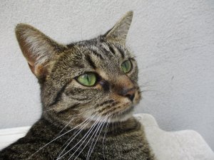 IMG_1700.JPG IMG_1700.JPG