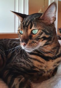 20210813_140136.jpg 20210813_140136.jpg