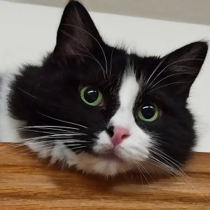 IMG_20210911_021610.jpg IMG_20210911_021610.jpg