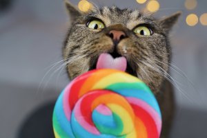 ECBE007E-770D-46DD-A761-4D147722B88F.JPG ECBE007E-770D-46DD-A761-4D147722B88F.JPG