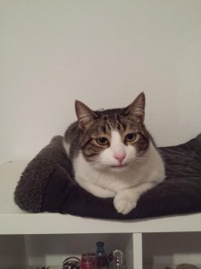 20200424_223914 (3).jpg