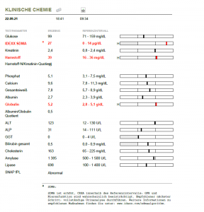 befund 1.png befund 1.png