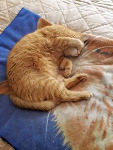 20200710_125208 (1).jpg