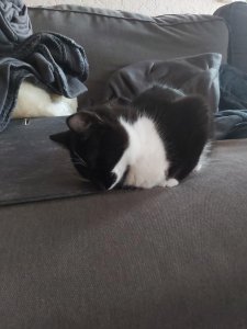 WhatsApp Image 2021-10-07 at 19.01.52.jpeg