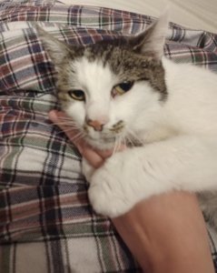 WhatsApp Image 2021-10-11 at 15.46.47.jpeg