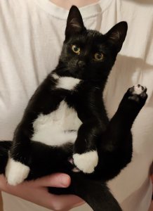 1634627546649 (2).jpg