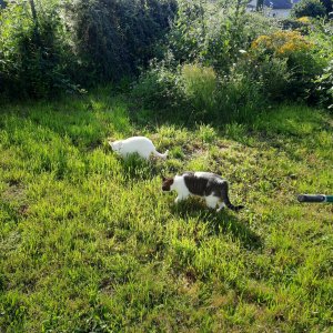 20210721_090549 (1).jpg