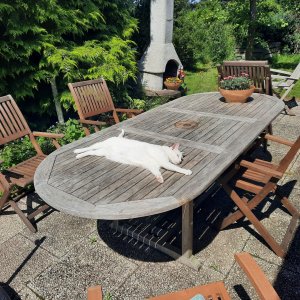 20210721_120024 (1).jpg