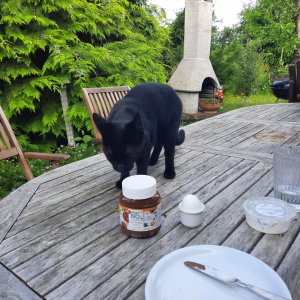 20210722_084322 (1).jpg