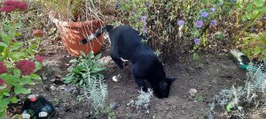 20211002_110106 (1).jpg