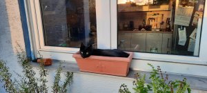 20211004_183508 (1).jpg