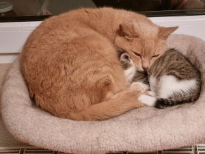 20211025_190541.jpg 20211025_190541.jpg