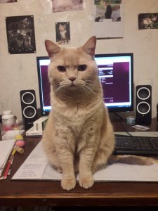 20191031_221930.jpg 20191031_221930.jpg