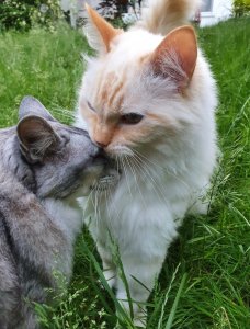 Screenshot_20210816-212046_Gallery.jpg Screenshot_20210816-212046_Gallery.jpg