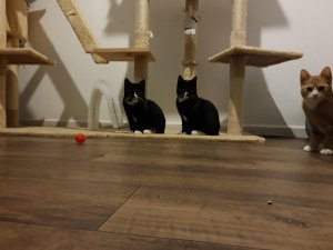 signal-2021-11-14-22-35-44-504 (1).jpg