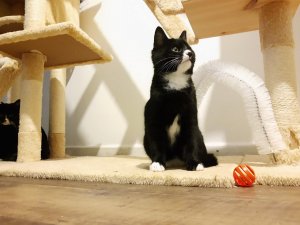 signal-2021-11-14-22-35-44-504 (9).jpg