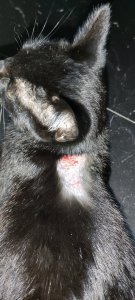 1637334707164.jpg 1637334707164.jpg