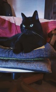 IMG_20190817_151517.jpg IMG_20190817_151517.jpg