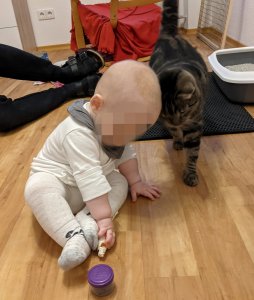 Point Blur_Nov212021_175607.jpg