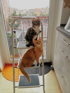 IMG_20211127_115850_edit_523354360652432.jpg IMG_20211127_115850_edit_523354360652432.jpg