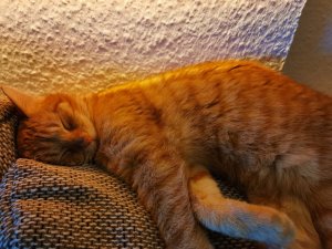 IMG_20211128_205412.jpg IMG_20211128_205412.jpg