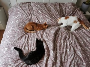 IMG_20211202_082719.jpg IMG_20211202_082719.jpg