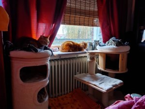 20211124_105532_HDR.jpg 20211124_105532_HDR.jpg