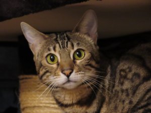 WhatsApp Image 2021-11-28 at 13.57.46.jpeg