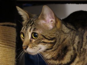 WhatsApp Image 2021-11-28 at 13.57.23.jpeg