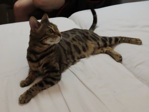 WhatsApp Image 2021-11-29 at 06.47.23.jpeg