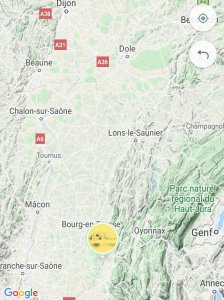 Animals Transport.jpg